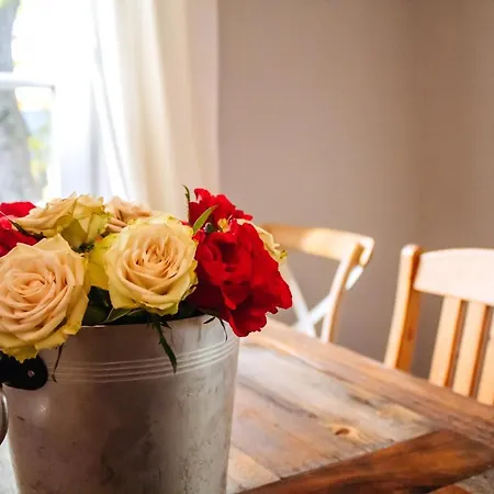 Casa de Férias Landfein-villa Marathon Winterberg