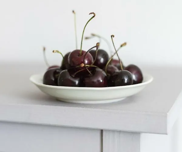 Landfein-villa Marathon Winterberg